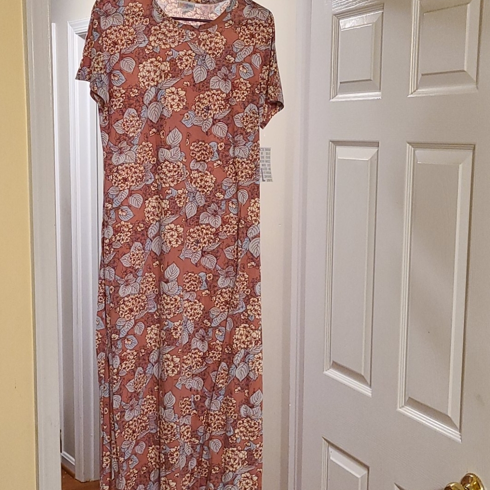 Brand new w/tags Large Lularoe Maria dress